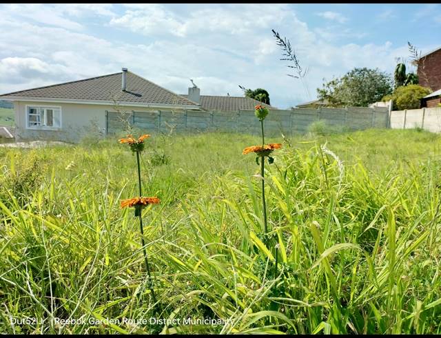 577M² VACANT LAND FOR SALE IN REEBOK